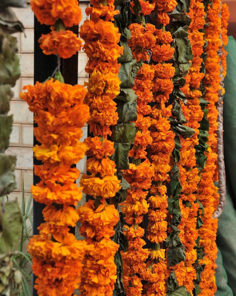 Festive & Pooja